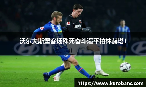 BB贝博ballbet登录人口